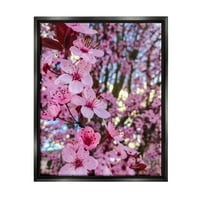 Stupell Industries Spring Pink Cherry Blossom Flowers Blooming Photography photography Jet Black Floating