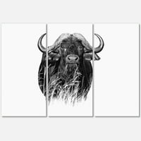 Designart 'crno-bijeli portret Buffalo IV' Farmhouse Canvas Wall Art Print