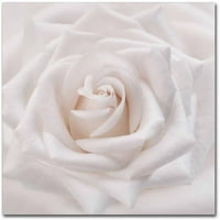 Zaštitni znak likovne umjetnosti' meka bijela ruža ' platno Art Cora Niele
