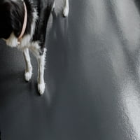 - Kat 8.5 ' 22 ' Keramička Tekstura Vinil Pet Mat & Carpet Protector, Slate Grey