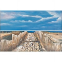 Safavieh zidna umjetnost od mora i pijeska, različita