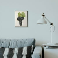 Stupell Industries Vintage Vintage Grape Painting Framedred Giclee Texturized Art by Vision Studio