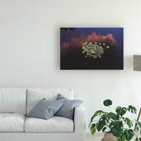 Zaštitni znak likovne umjetnosti 'Sunset Lilypads 2' platnena Umjetnost Kurta Shaffera