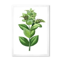 Designart 'drevni zeleni listovi biljke VI' tradicionalni uokvireni umjetnički Print