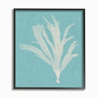 Stupell Industries Coral Seaweed Cyan White Beach Design Framed Wall Art by Vision Studio