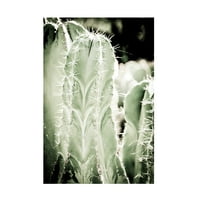 Plavi Palomino 'Cactus' Platno Umjetnost